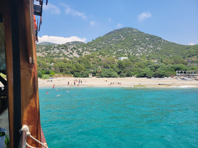 Ulaş Mesire Piknik Alanı Yerel İşletme fotoğrafı 3
